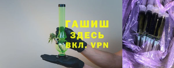 гидра Гусев