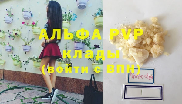 стафф Семилуки