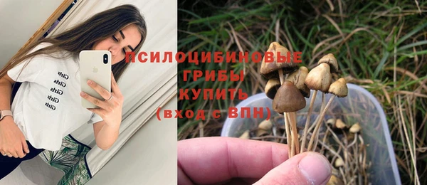 гидра Гусев