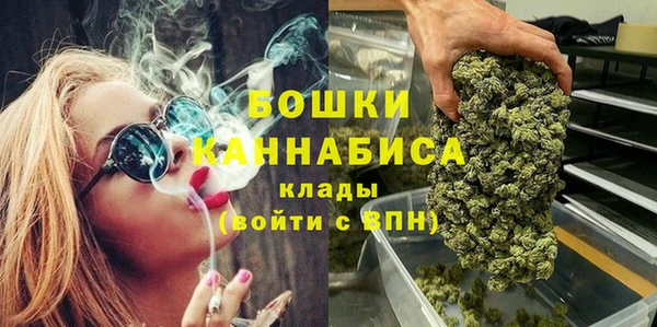 стафф Семилуки